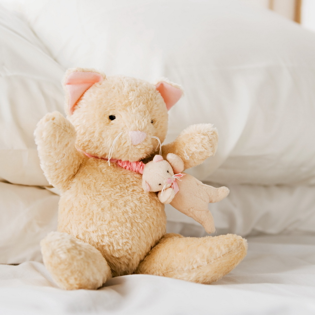 Плюшевые кошка и мышка