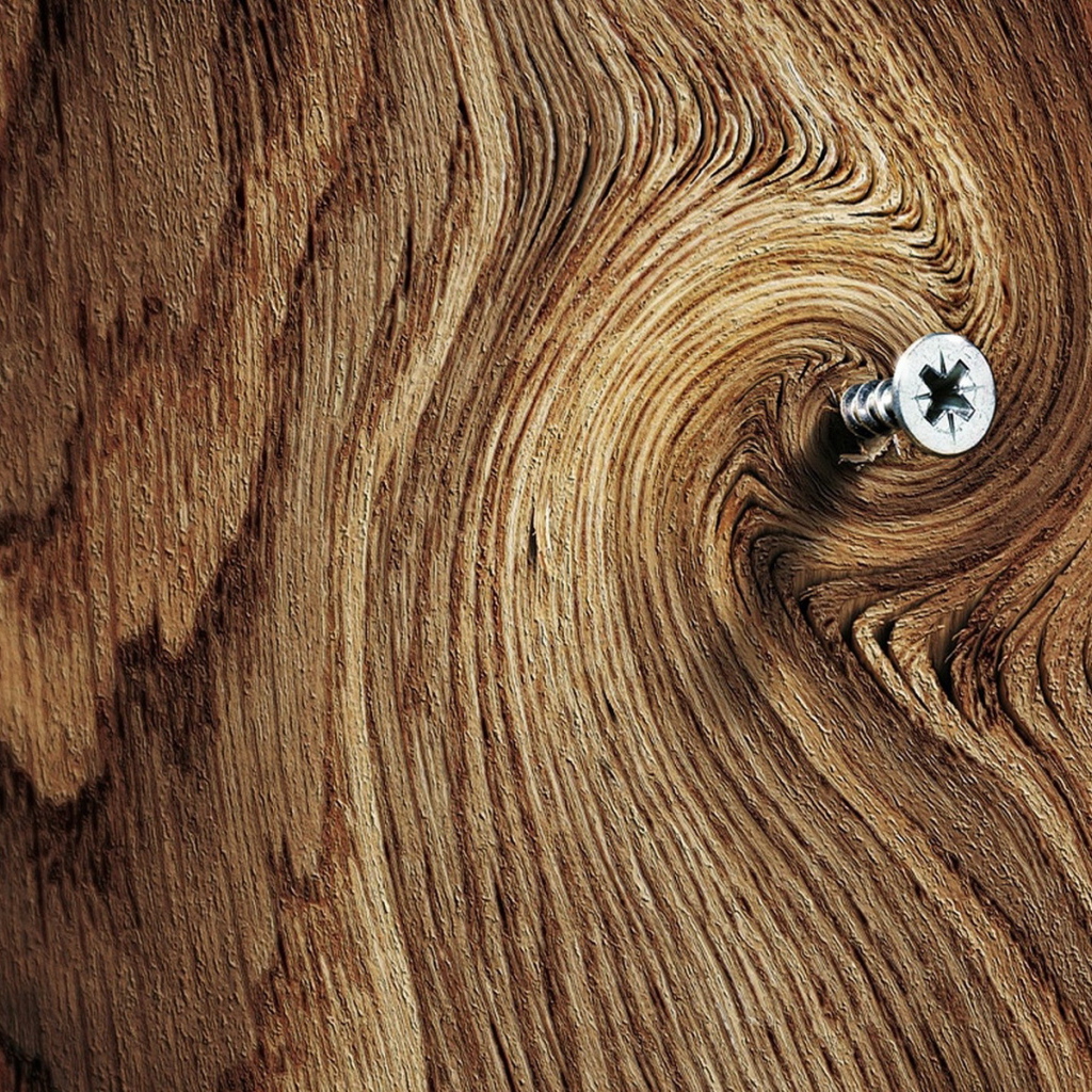 Саморез в доске