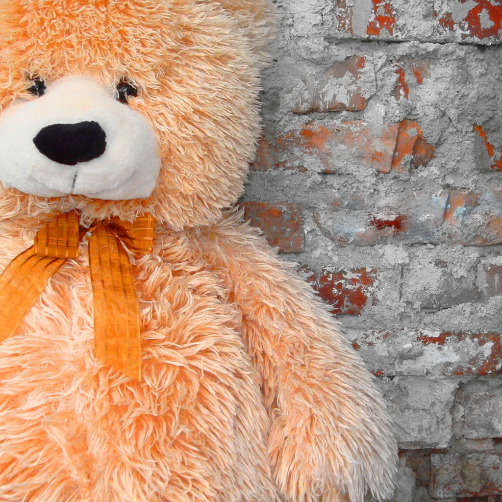 Игрушечный медведь