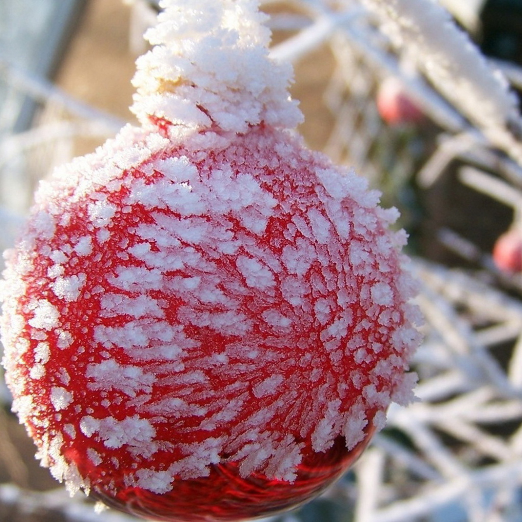 Оледеневший шар