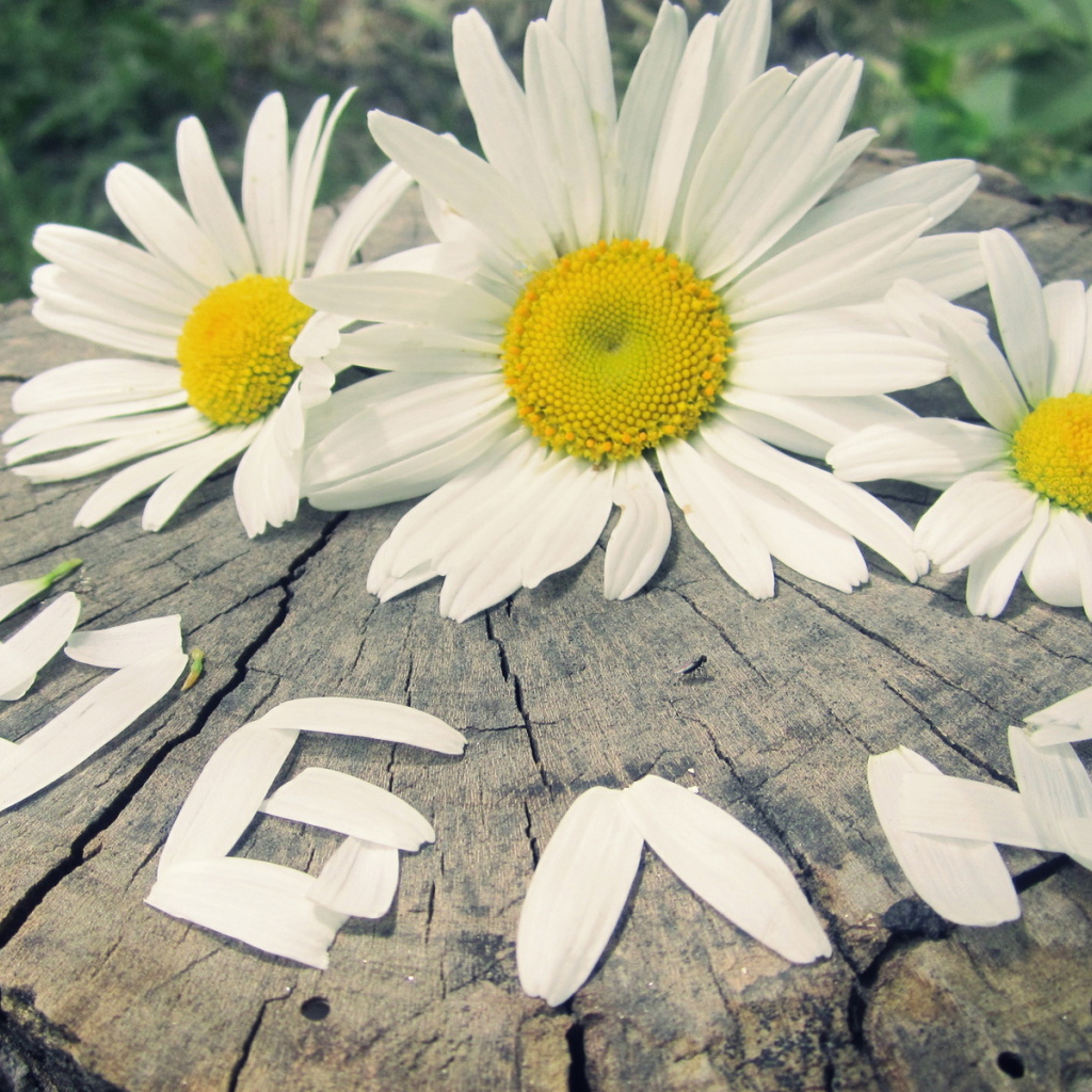 надпись Люблю