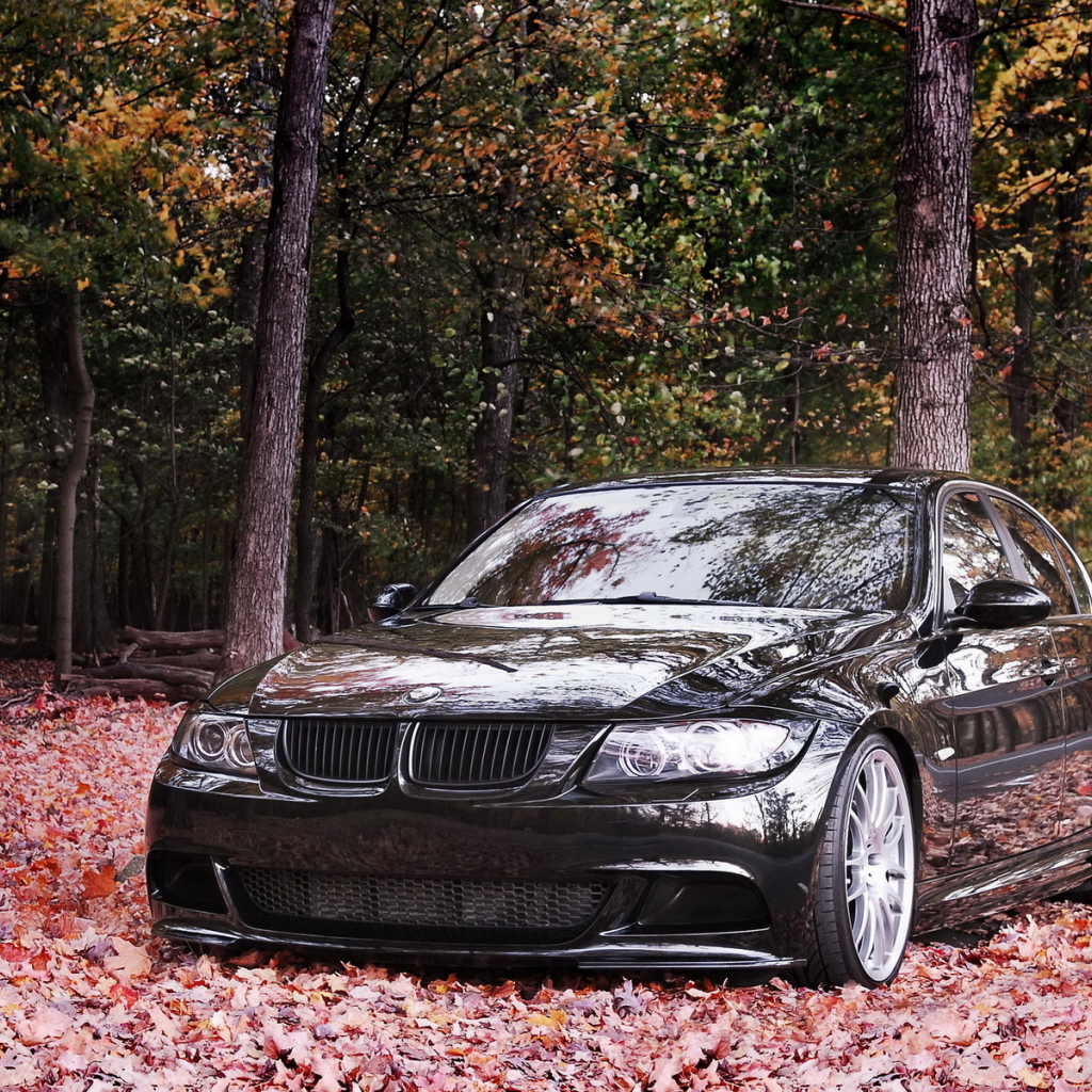 BMW 335i