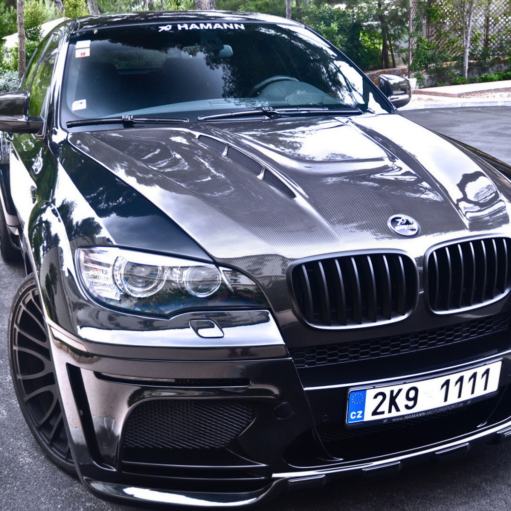 BMW X6 Hamann