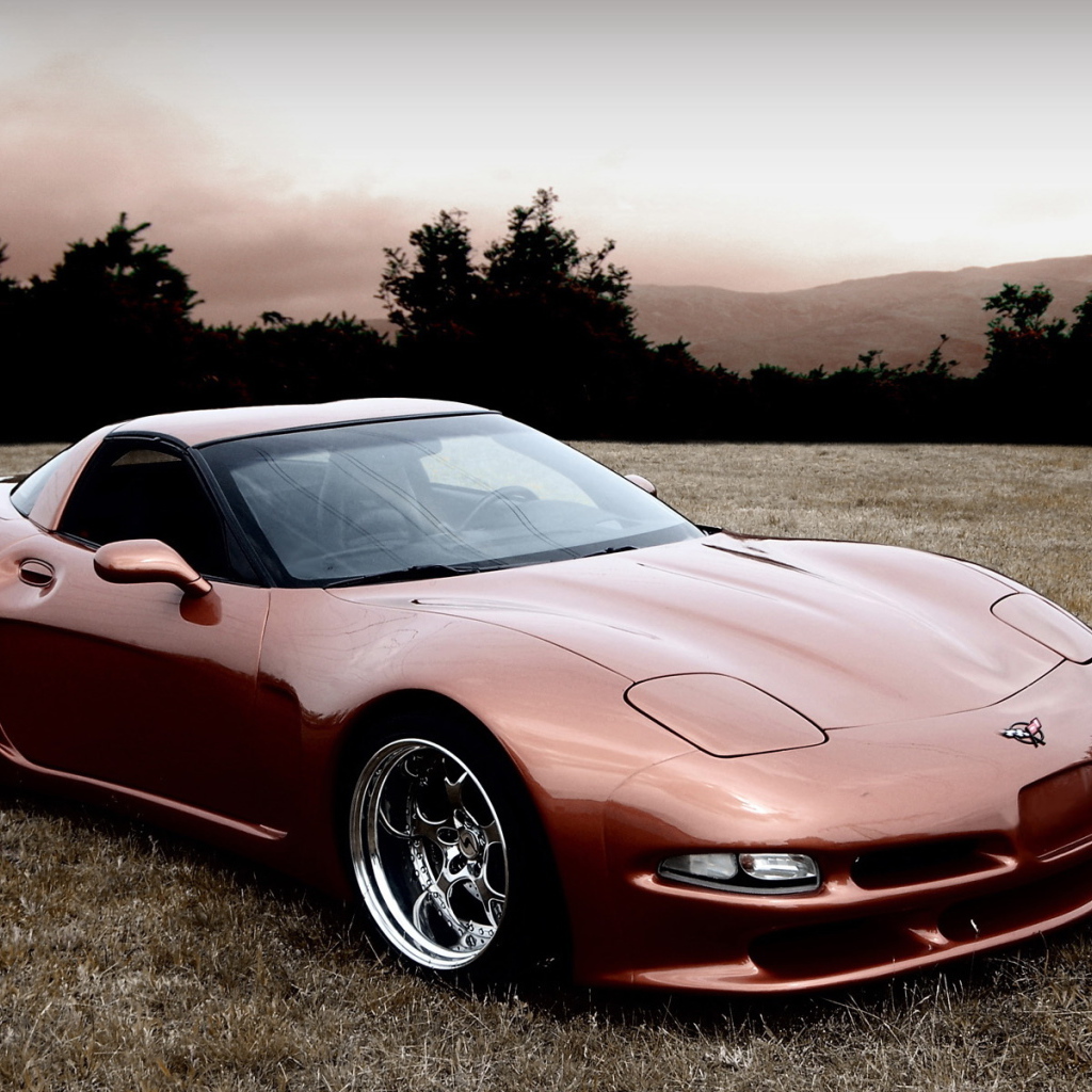 Chevrolet-Corvette-C5