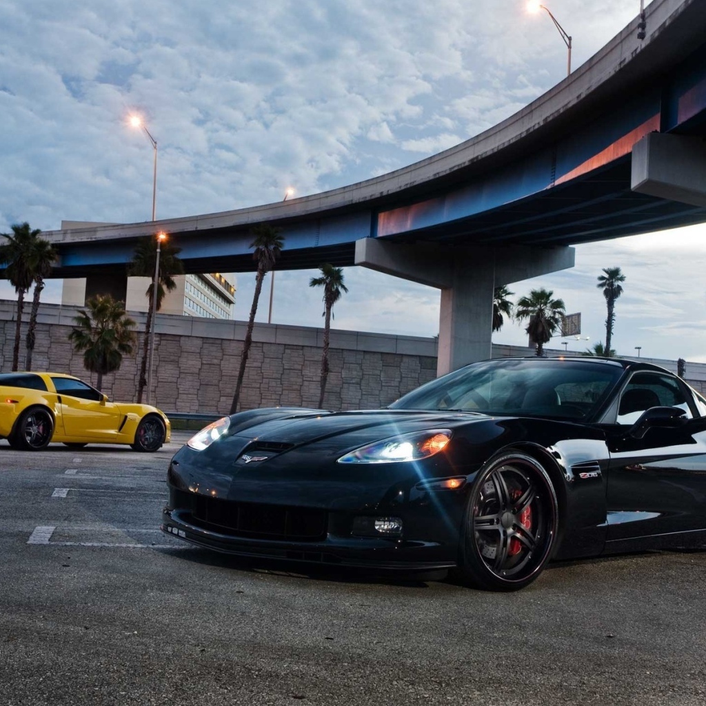 Chevrolet Corvette Z06 под мостом