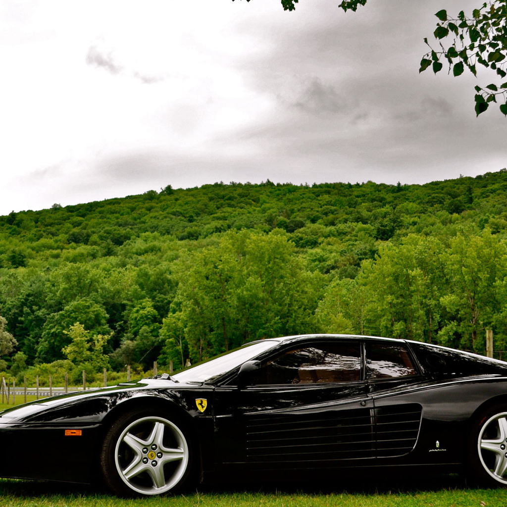 Ferrari черный