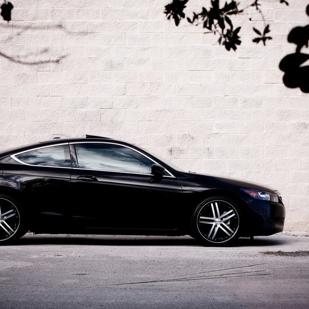 Honda Accord Black