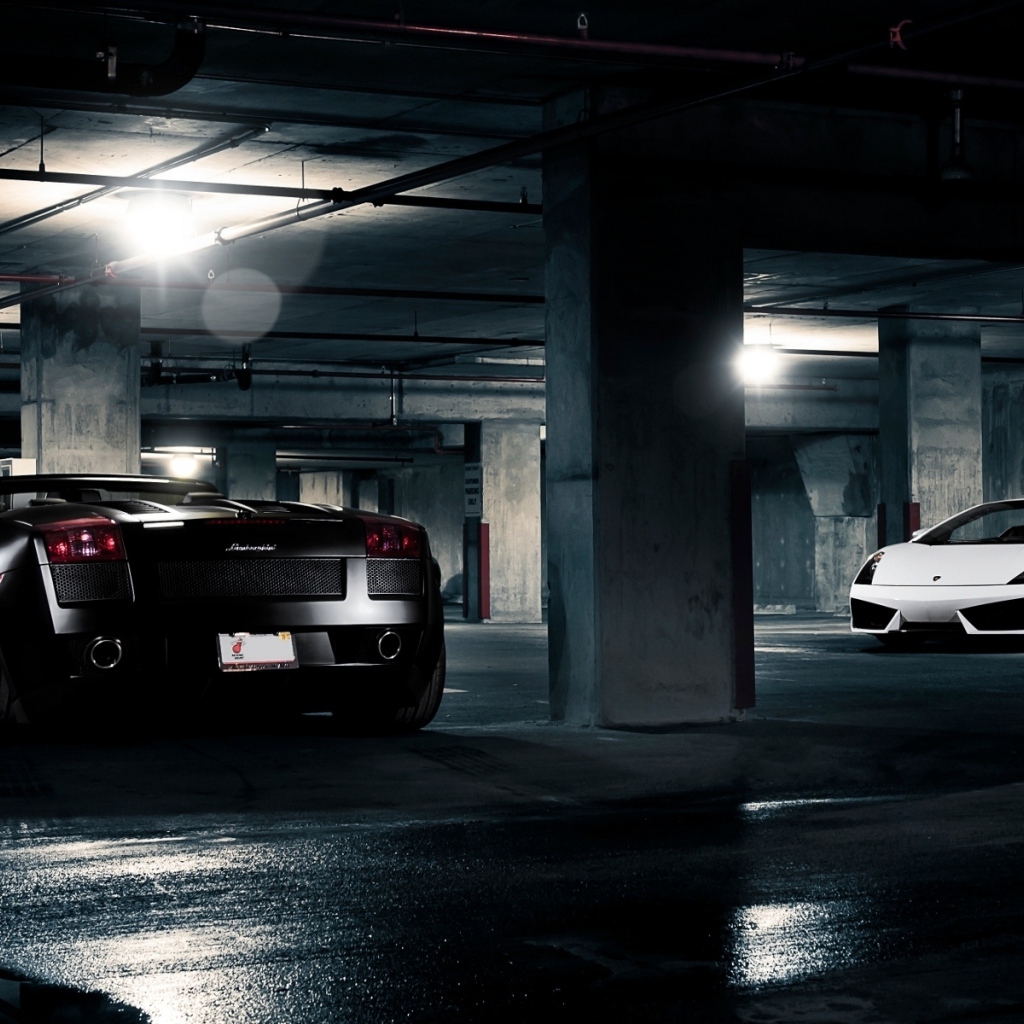 Lamborghini Gallardo White and Black