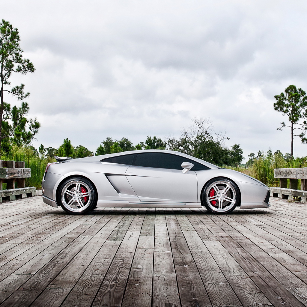 Performance Lamborghini Gallardo