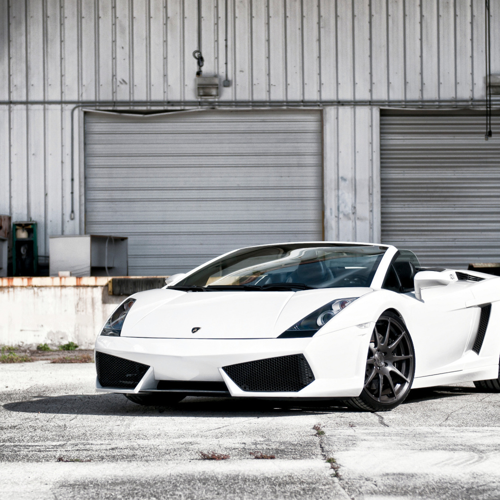 white Lamborghini Gallardo
