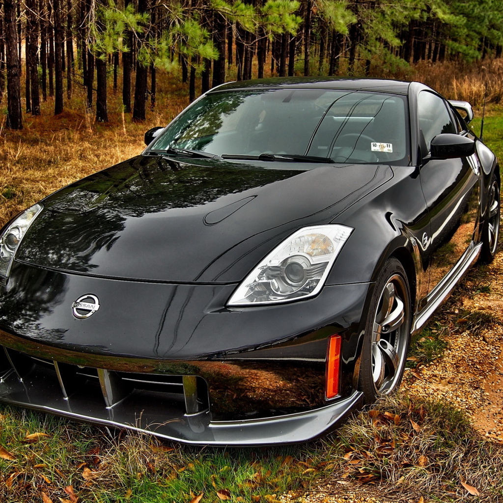 Nissan 350Z на обочине