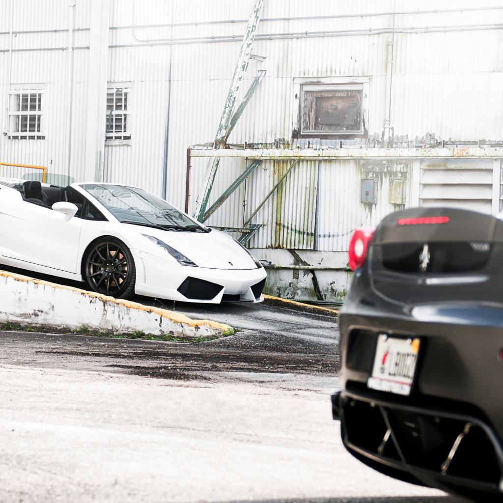 Lamborghini Gallardo and Ferrari