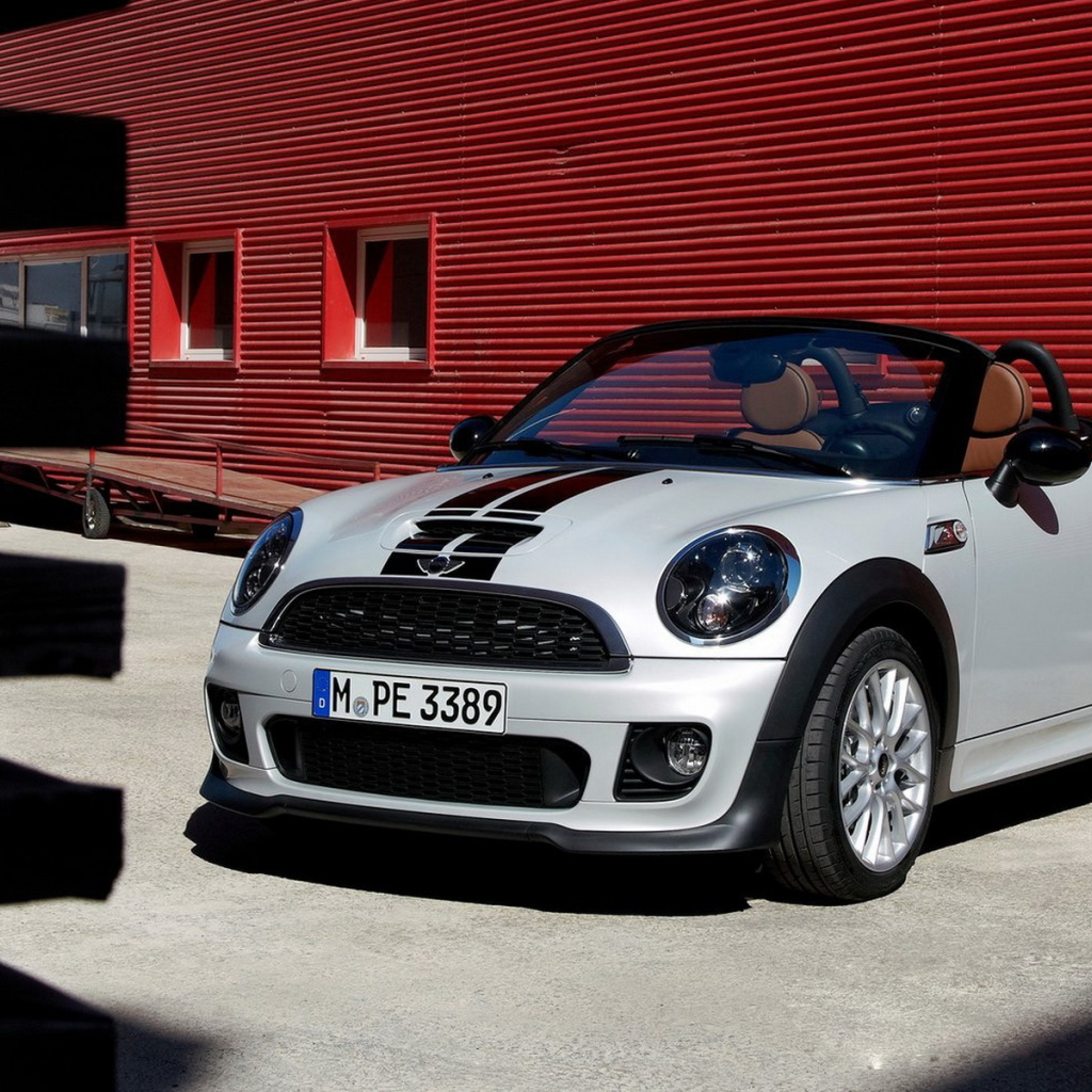 Mini-Roadster 2013