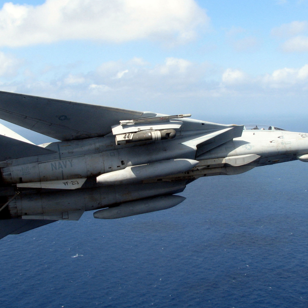 Grumman F-14 Tomcat