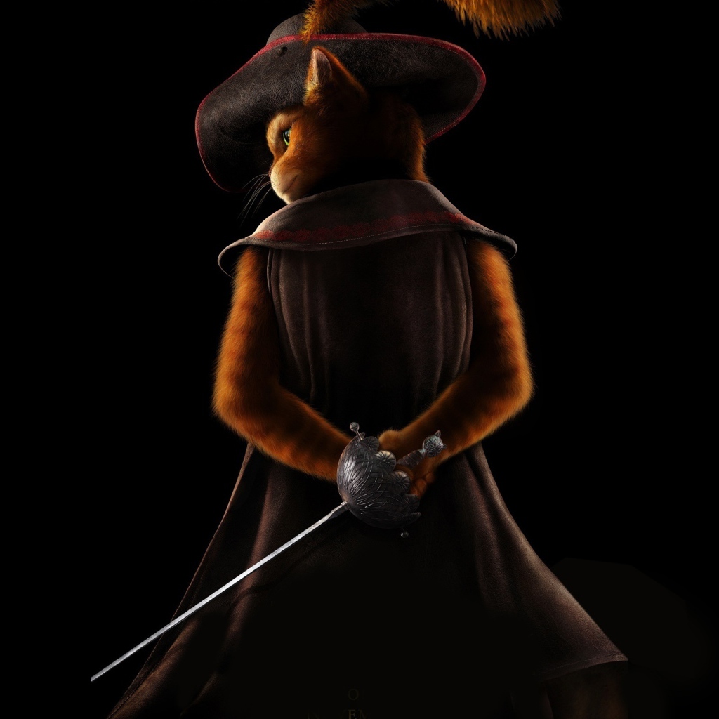 Кот в сапогах 2011