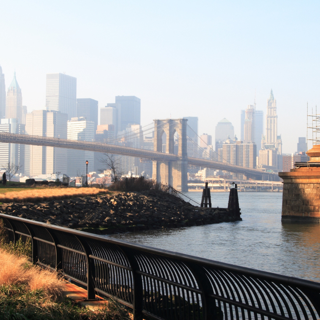 Жизнь под мостом