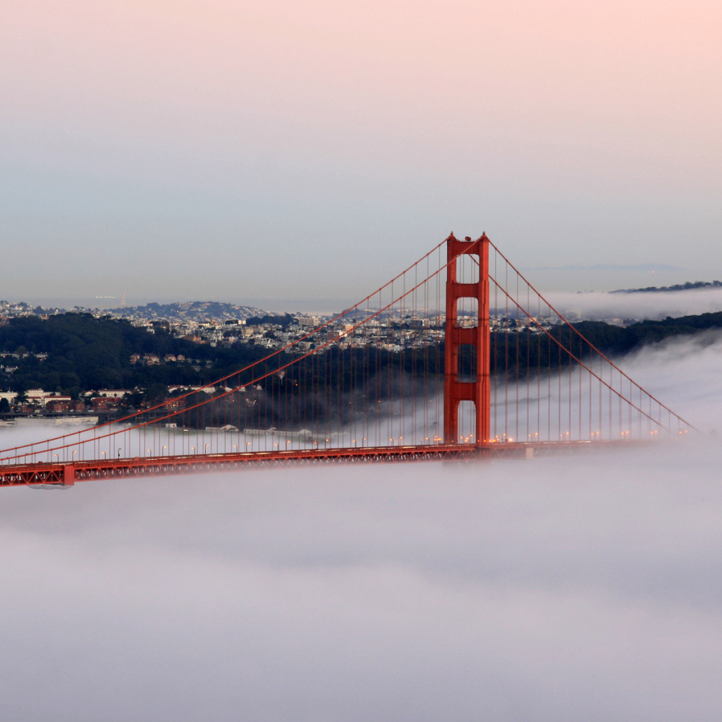 Калифорнийский мост в тумане