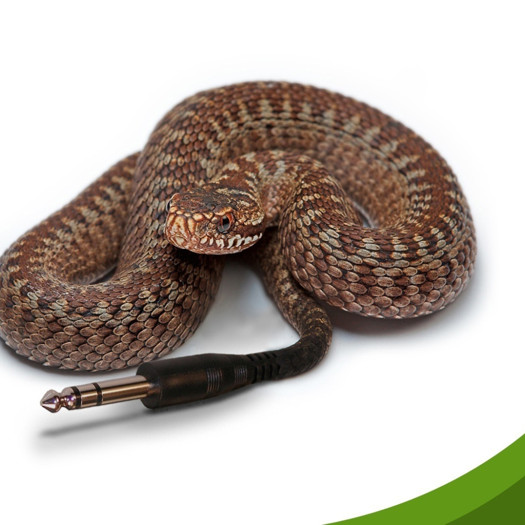 Компьютерная змейка