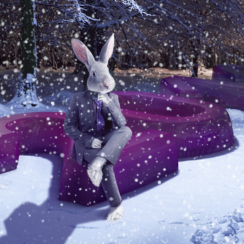 2011 Год зайца