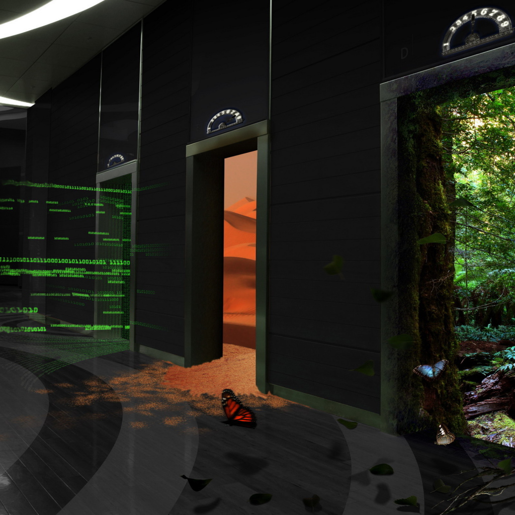 Двери в разные миры