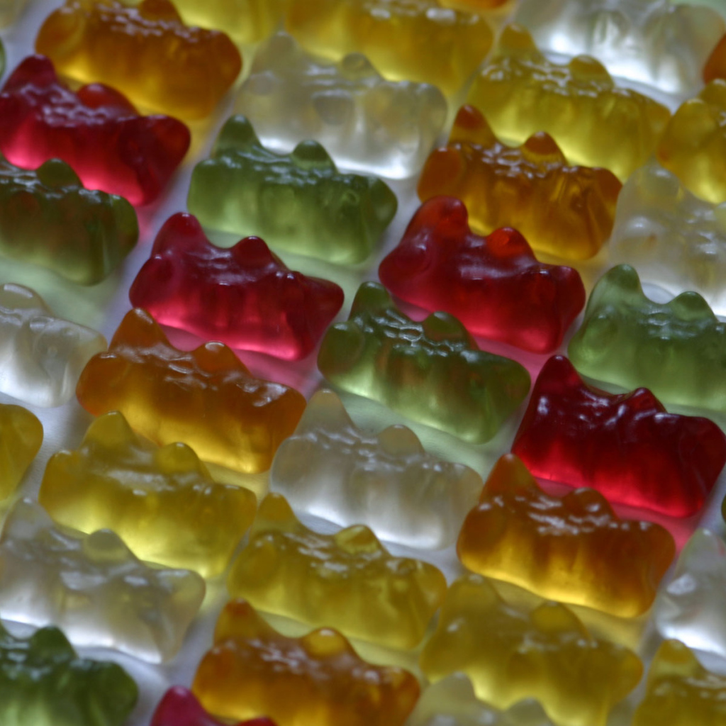 Жевательные медведи