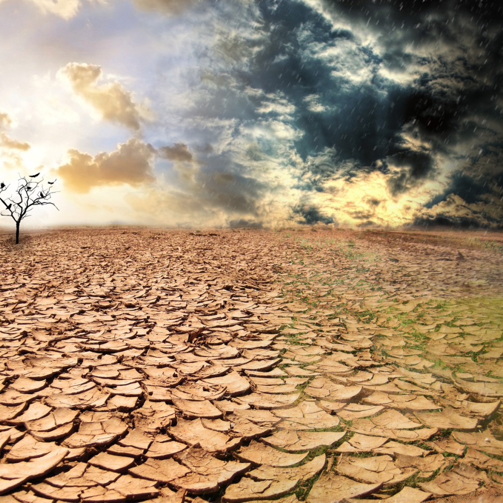 Сезон засухи  и сезон дождей