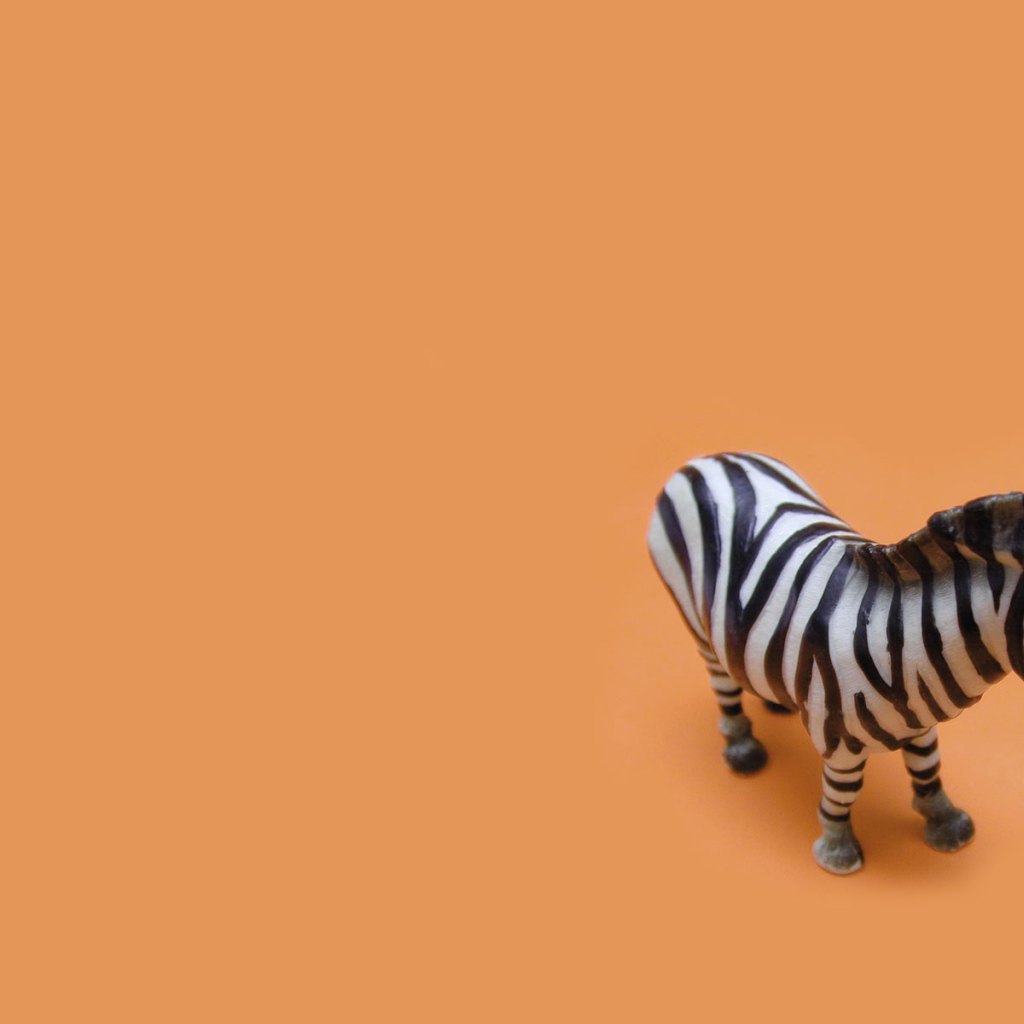 Игрушечная зебра