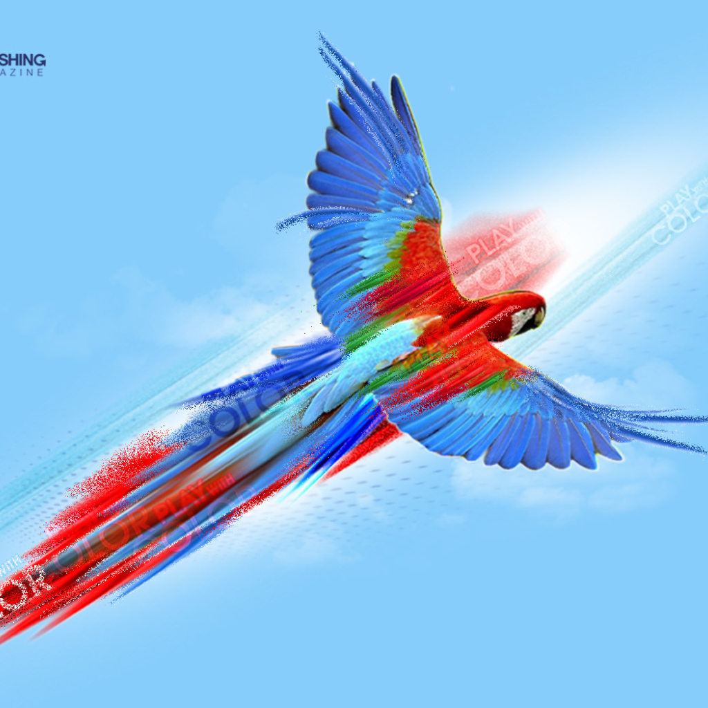 Попугай картина