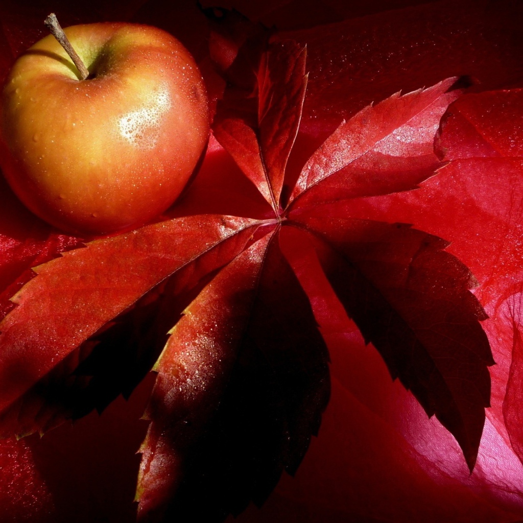 Яблоко на красном