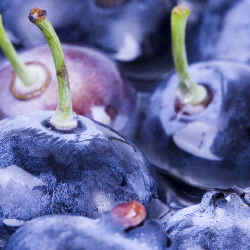 Ягоды черники