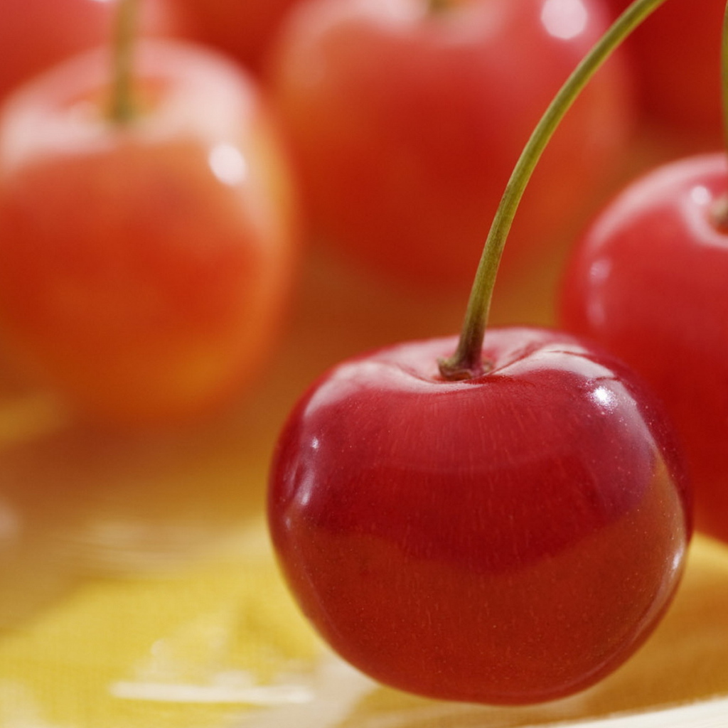 Спелая вишня