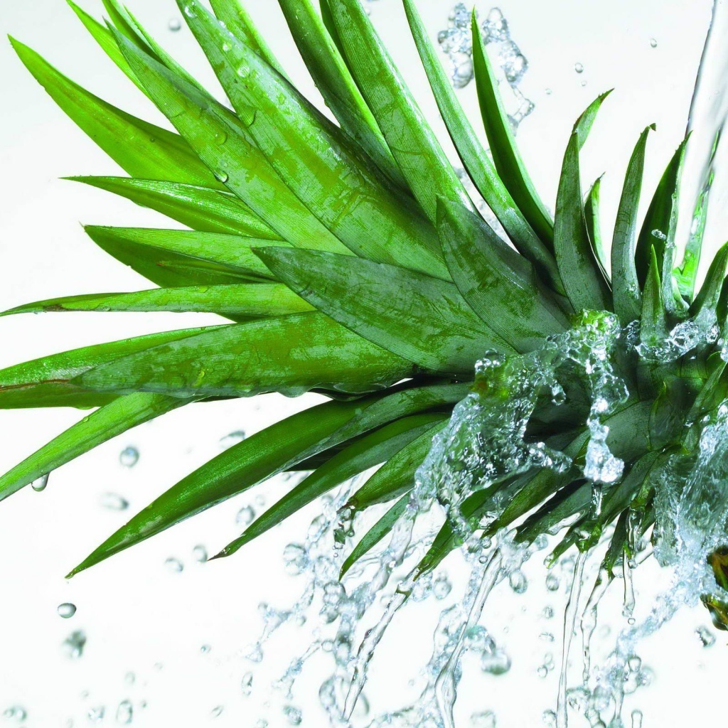 Свежий ананас