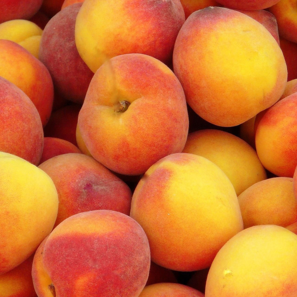 Куча персиков