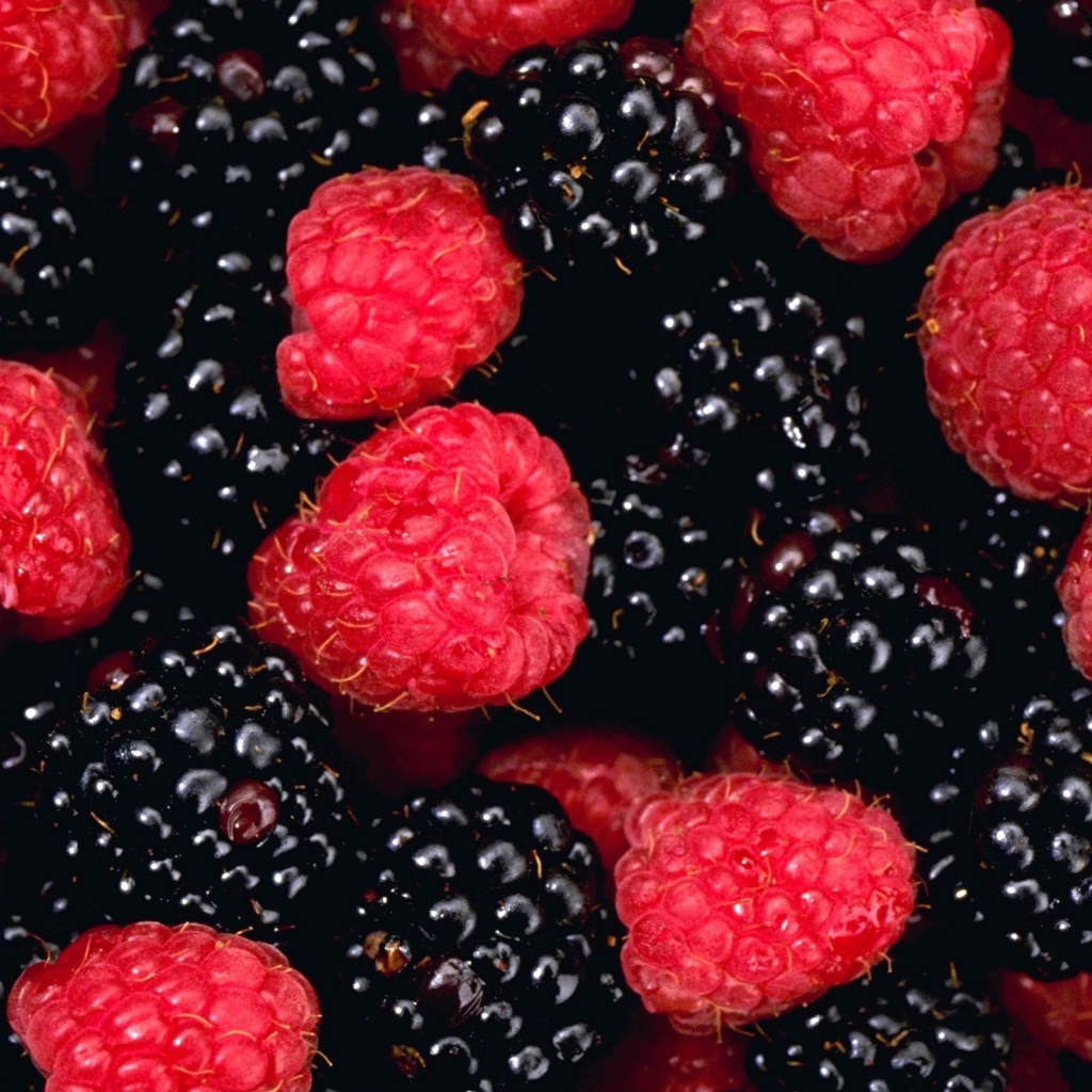 Малина и ежевика