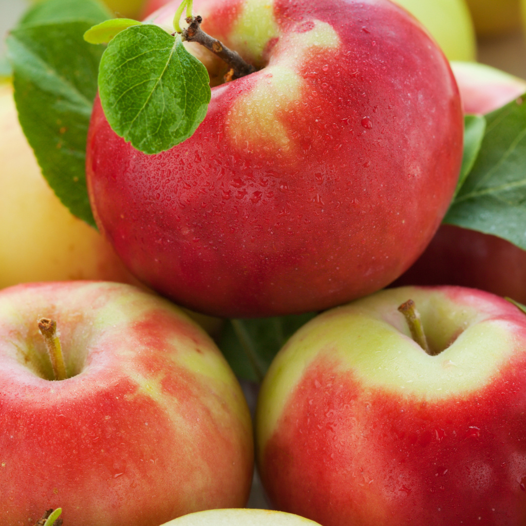 Спелые яблочки