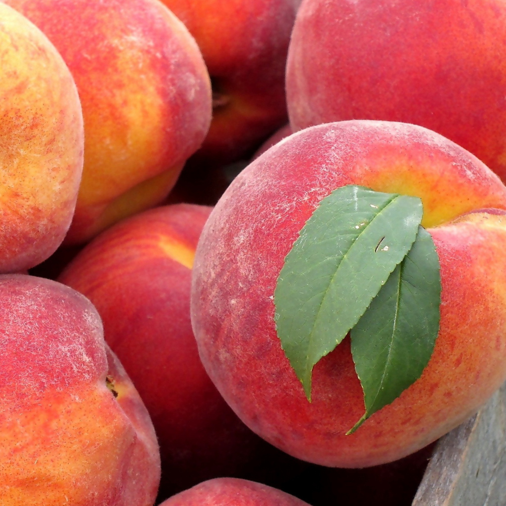 Сладкие персики