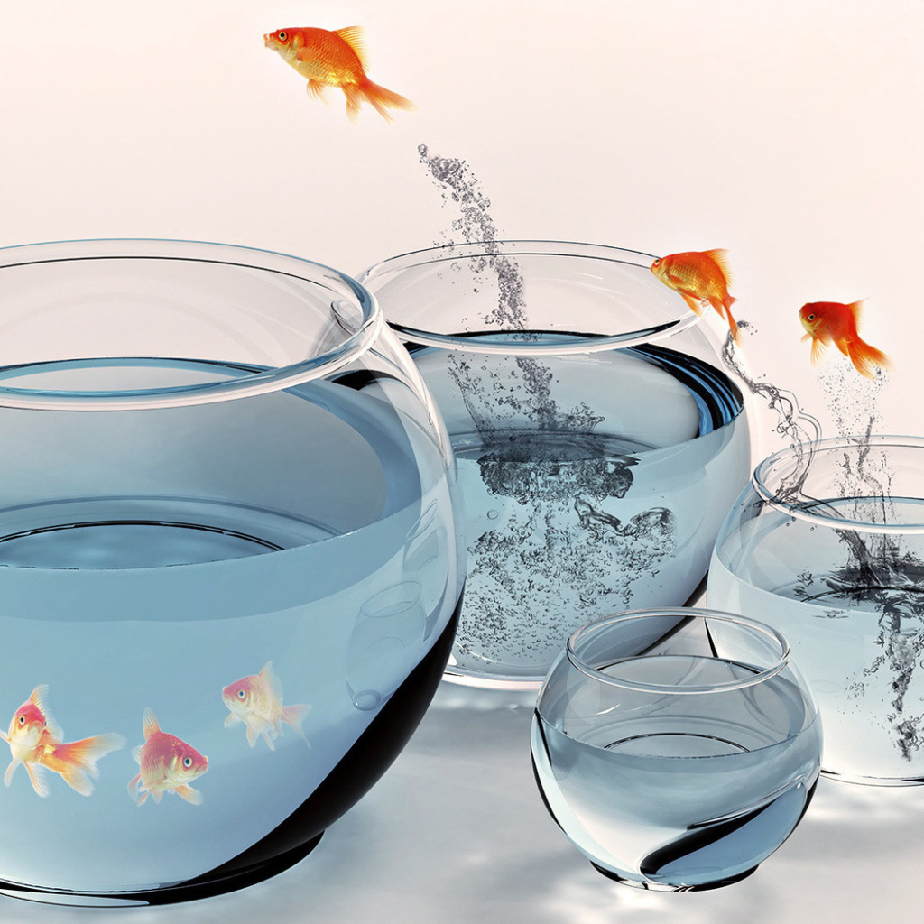 Золотые рыбки