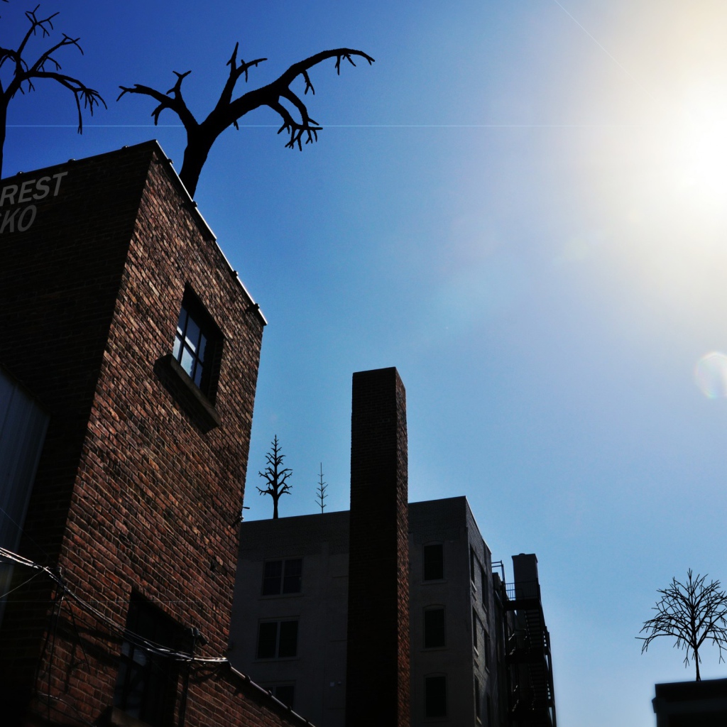 Деревья на крыше