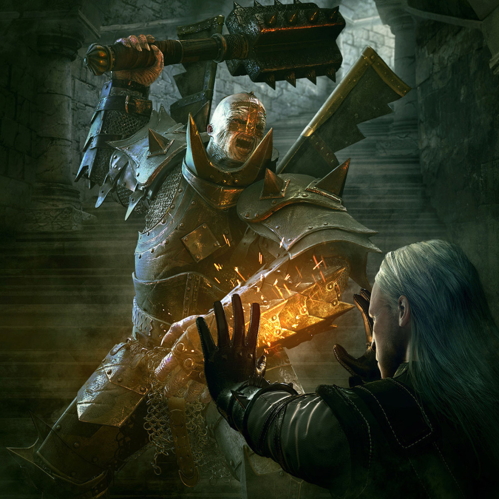 Witcher 2: Assassins of Kings
