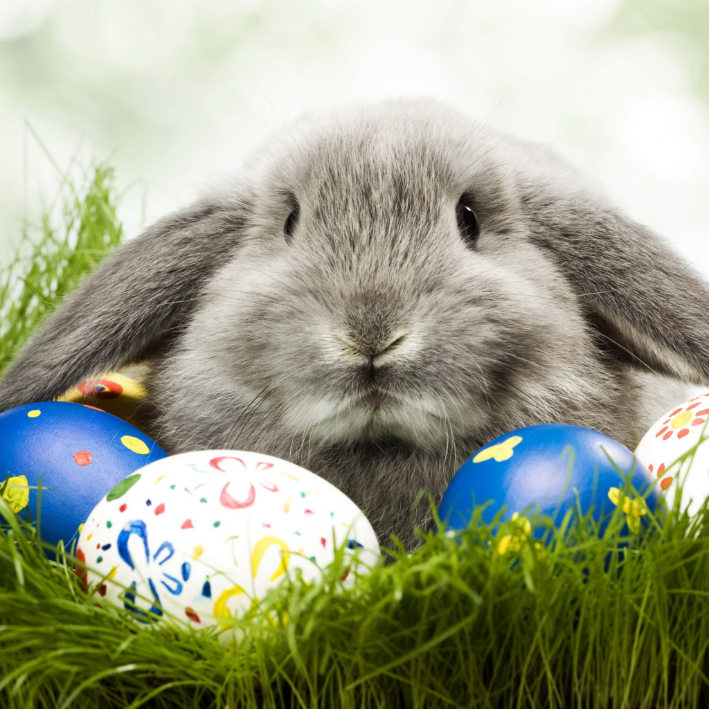 Кролик и яйца