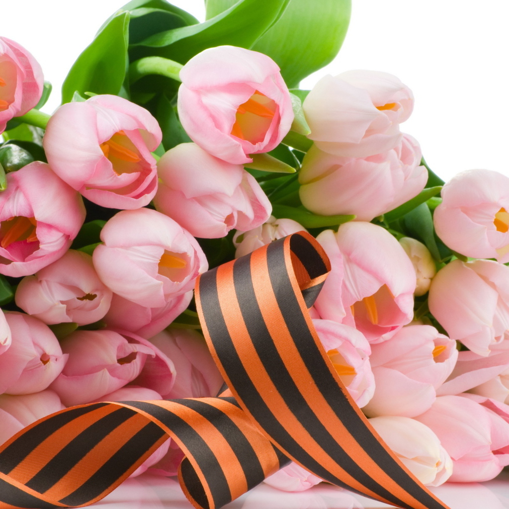 Лента и тюльпаны
