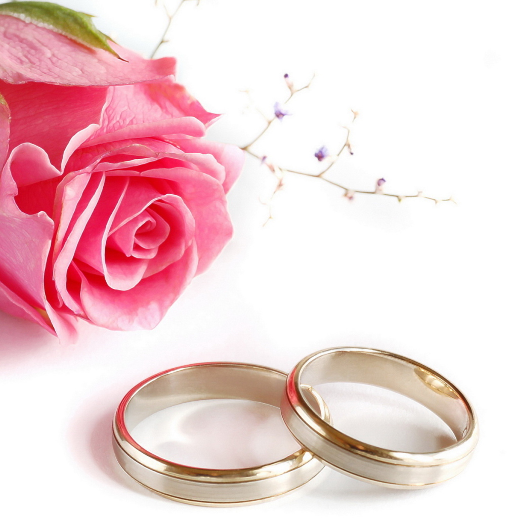 Кольца и роза