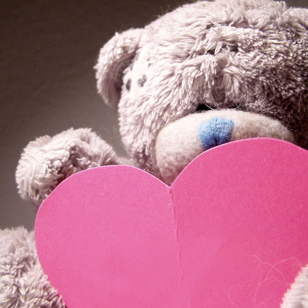 Признание в любви, мишка