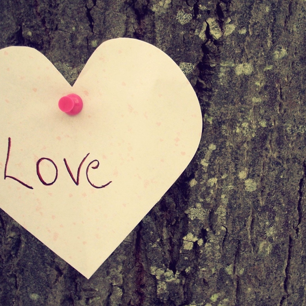 Надпись на дереве