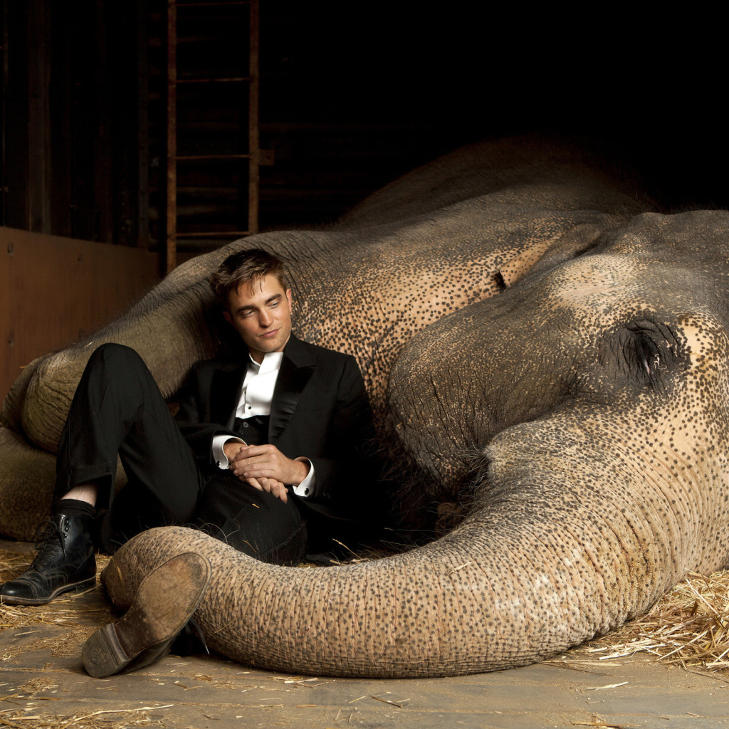 Robert Pattinson и слон