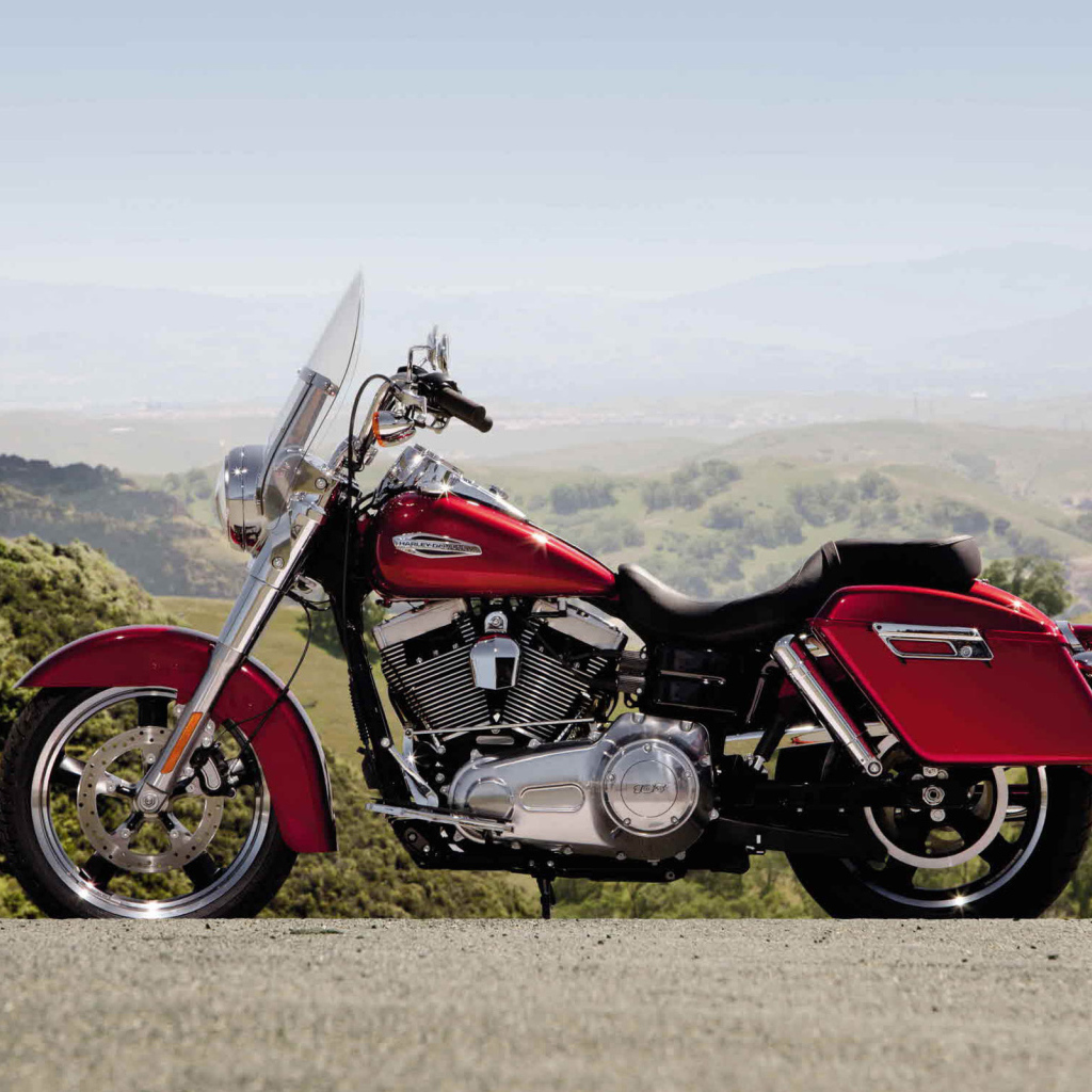 Harley-Davidson FLD Switchback