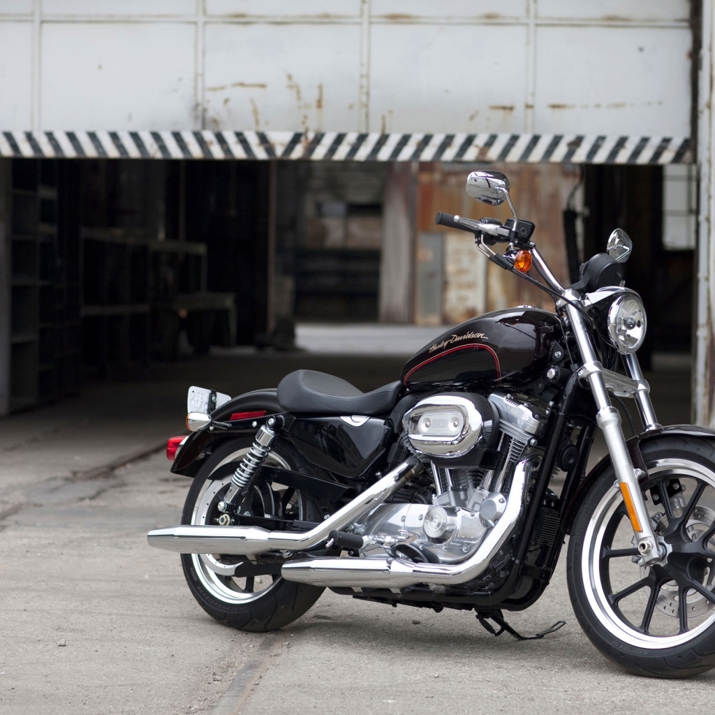 Harley Davidson XL883 SuperLow