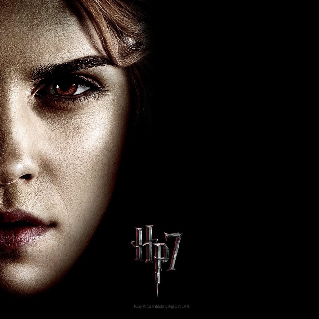 Гарри Поттер и Дары смерти, Гермиона Грейнджер