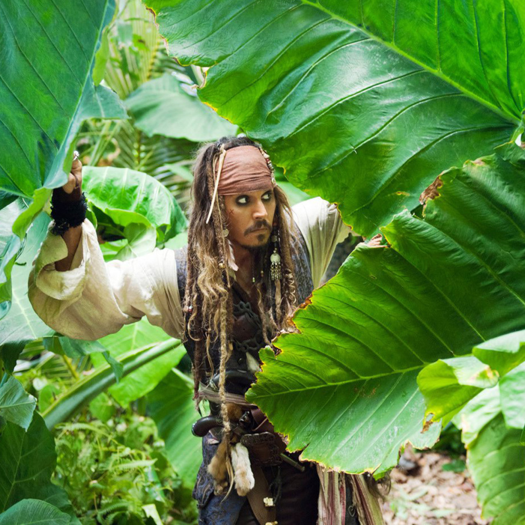 Пираты Карибского моря 3D