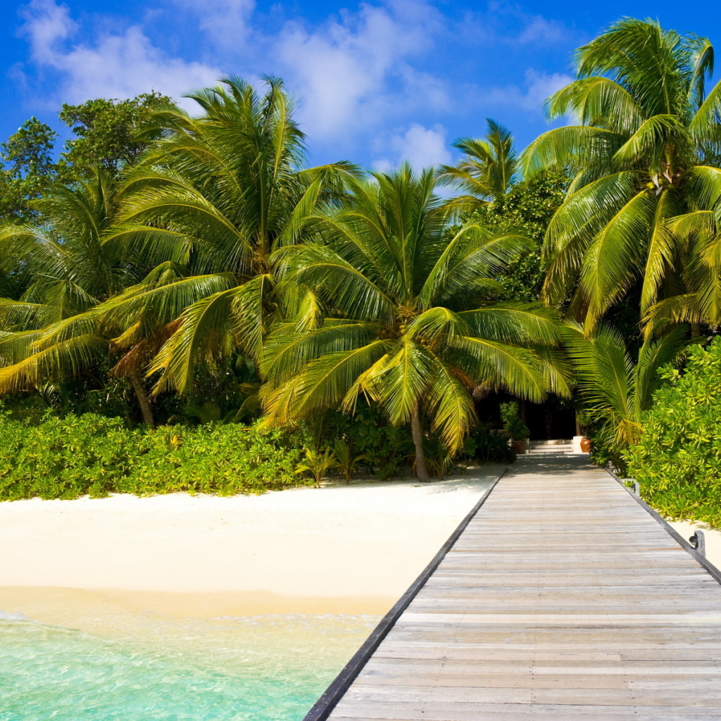 Пальмы на пляже